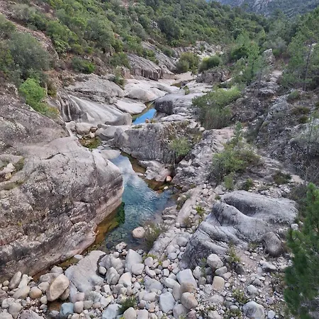 San Martinu Sainte Lucie De Porto Vecchio * ゾンザ