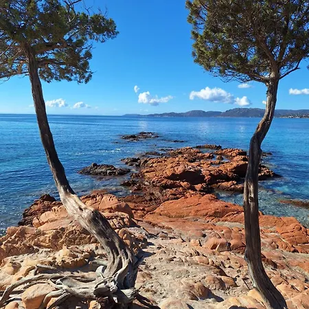 San Martinu Sainte Lucie De Porto Vecchio Feriehus *